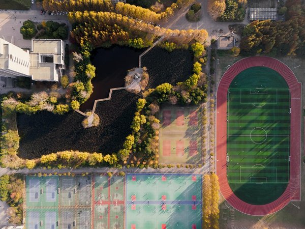 Bien manger avant l'entraînement : conseils musculation efficaces